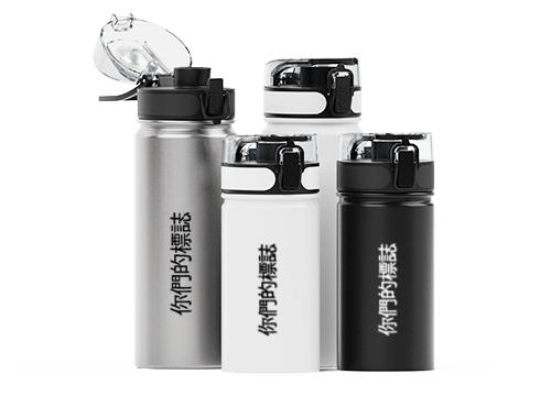 Aqualok Metal - 帶Logo的金屬水瓶